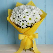 Букет цветов из:  Хризантемы #REPLACE_PRED# Малке