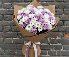 Букет цветов из:  Хризантемы #REPLACE_PRED# Малке