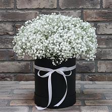 Цветочная композиция из Гипсофила в шляпной коробке #REPLACE_PRED# Малке