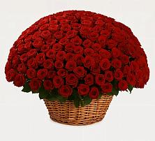 Премиум букет из: Розы в Малке