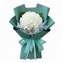 Букет цветов из:  Гортензия в Малке